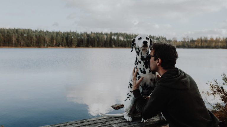 Ferienhaus in Schweden mit Hund am See in Alleinlage